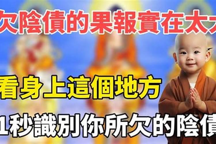 属兔正月初一出生的男孩命运