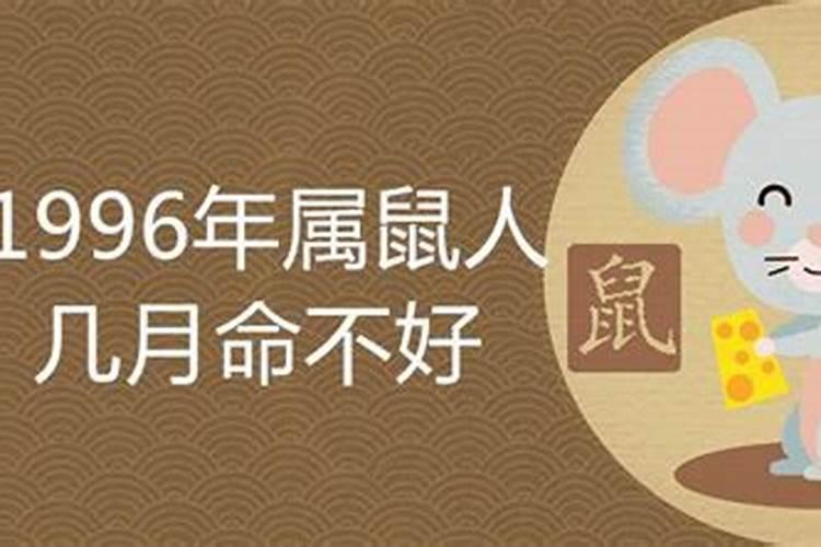 属鼠11月27出生运势