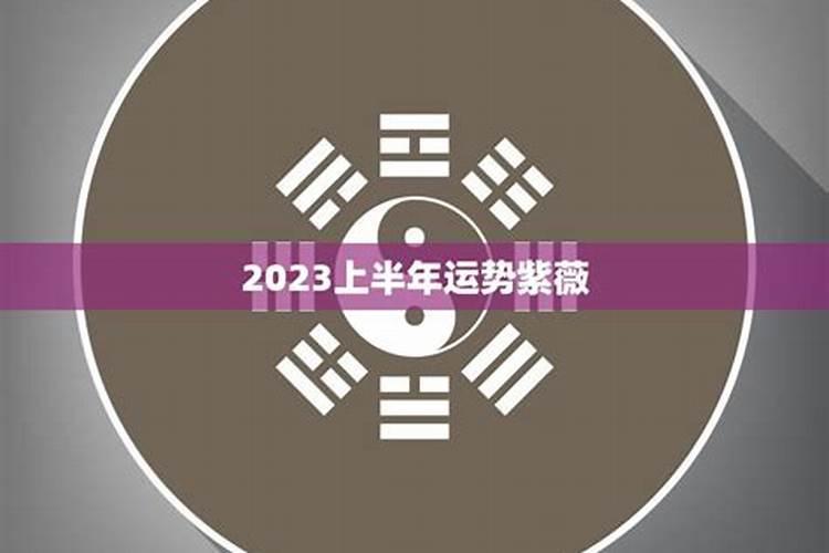 2023下半年紫薇健康运势