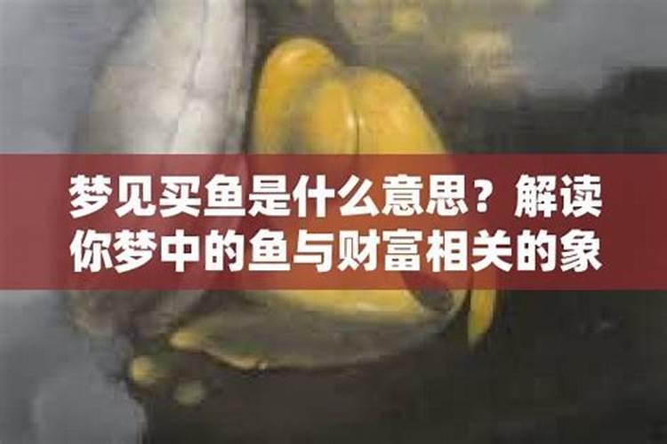 梦见买鱼是什么意思周公解梦