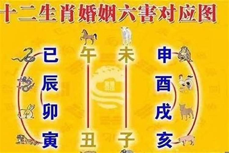 2023年属鼠犯太岁如何化解,属马人化解太岁方法