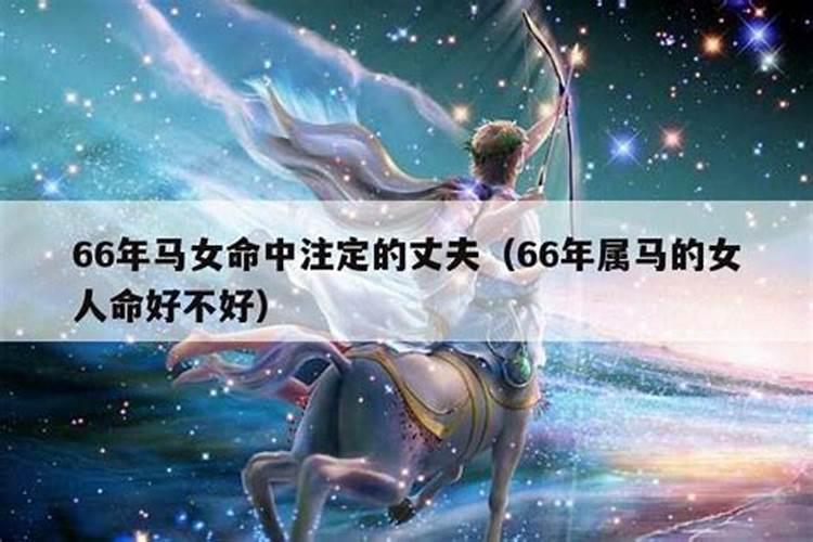 66年的女马2023年的运势如何