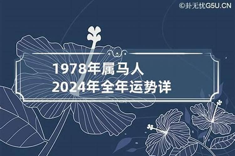 1978年属马女在2024年的命运如何