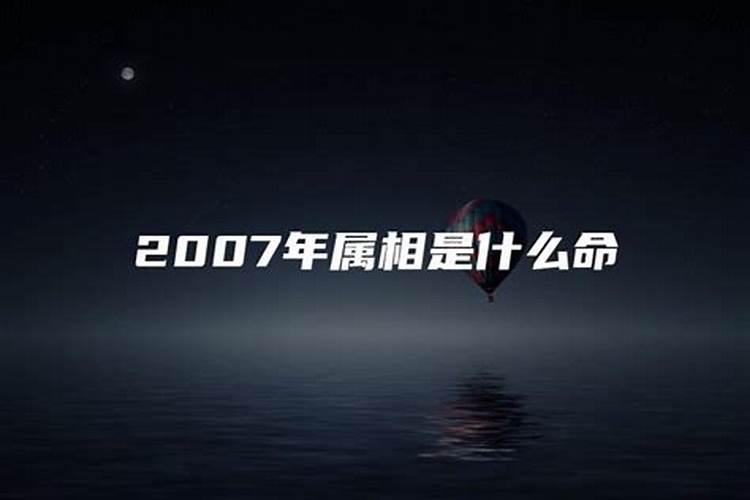 2007是什么命属什么命