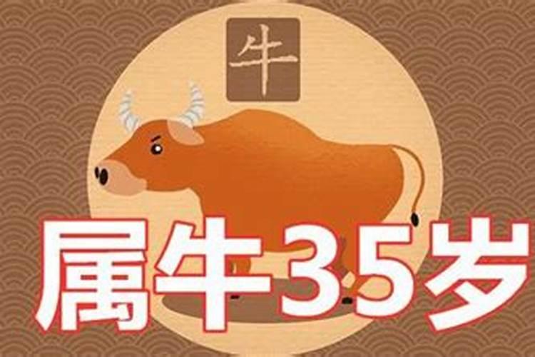 85属牛的35岁后的运气