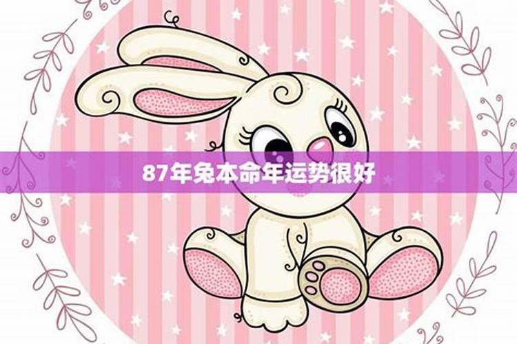 87属兔九月运势如何