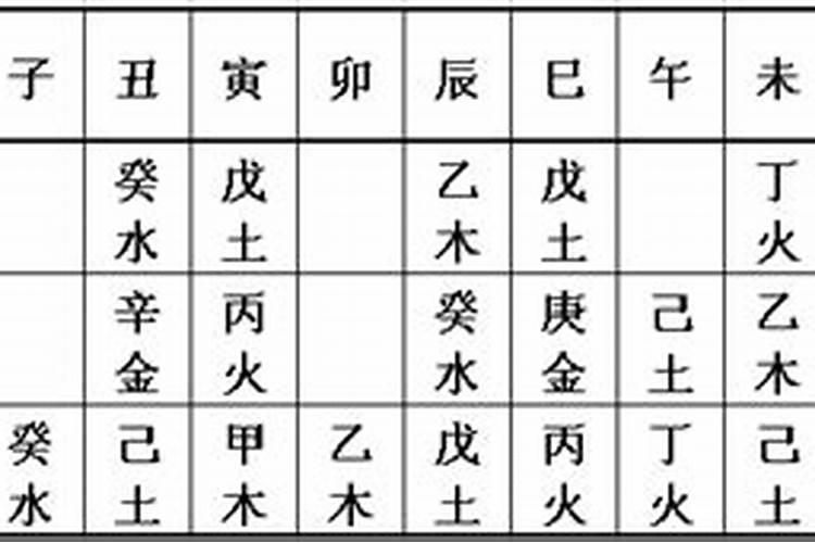 生辰八字藏干查询