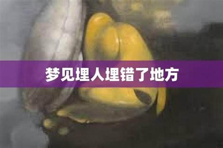 梦见人埋了又出来了