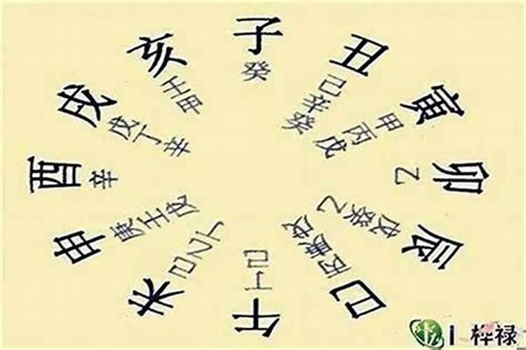 八字中的藏干是什么