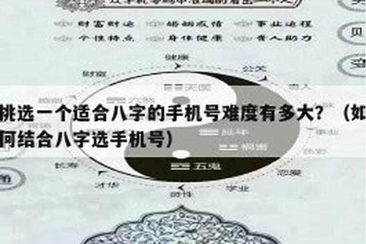 八字测适合什么手机号