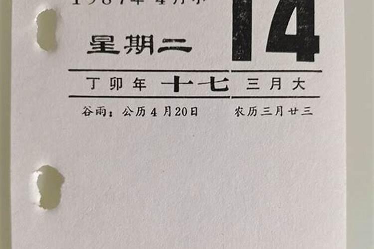 1987年三月十七出生运势如何