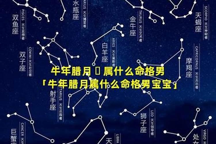 2023年腊月初八出生的男孩运程