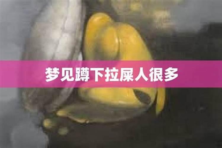 梦见女人蹲下就尿