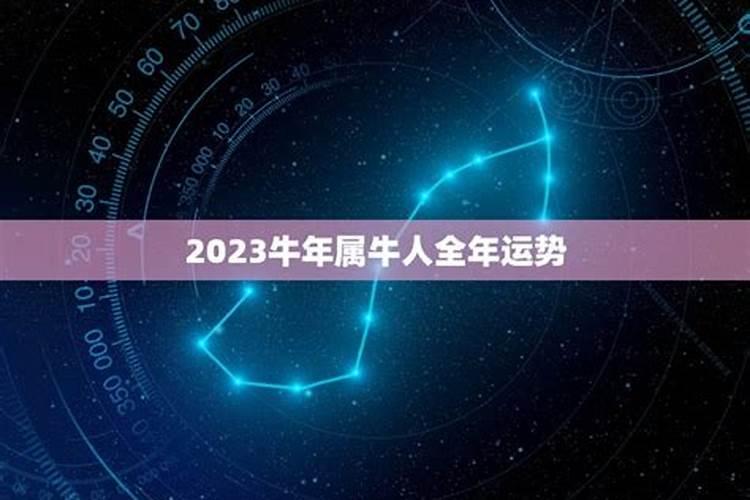 2023牛人全年运势如何