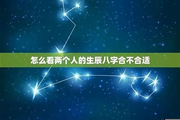 我属龙的2023年的运程好不好