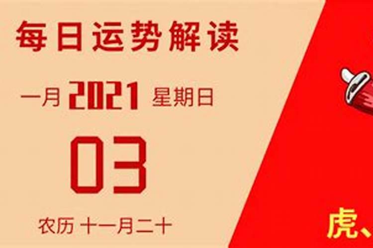 龙11月运势2020