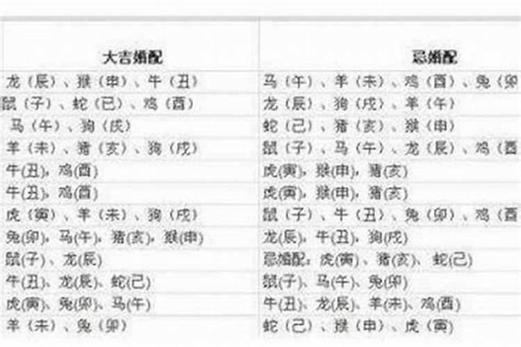 1982年属狗事业合作对象