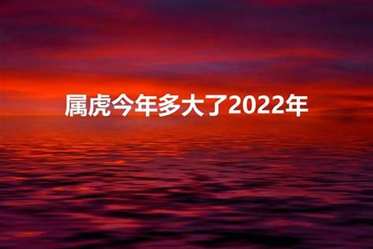 2022年属虎几岁了