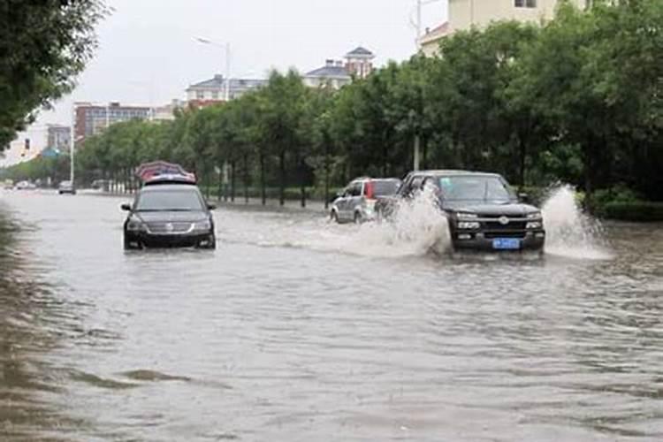 梦见下雨发了大洪水