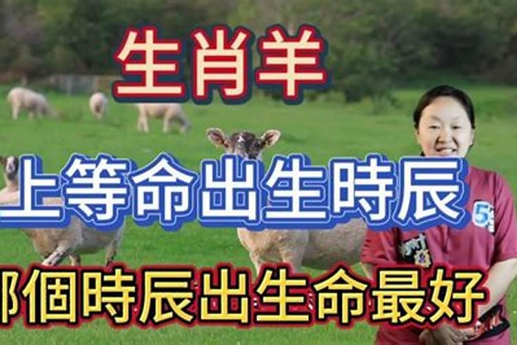 属羊人出生时辰