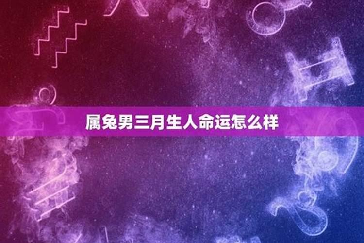 属兔的3月出生的命运