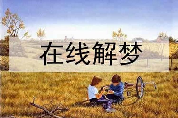 被情所困的人都是傻子吗