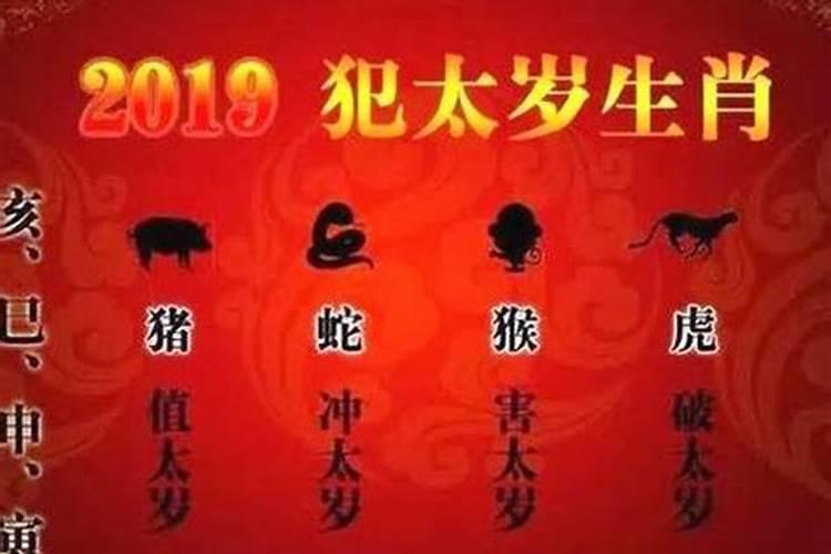 属蛇2019年的运势及运程