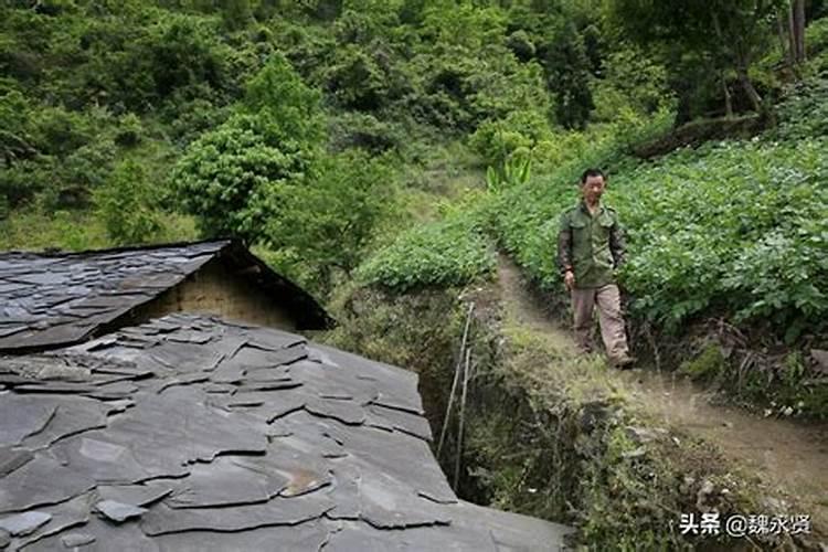 梦见房前屋后都是荒草地