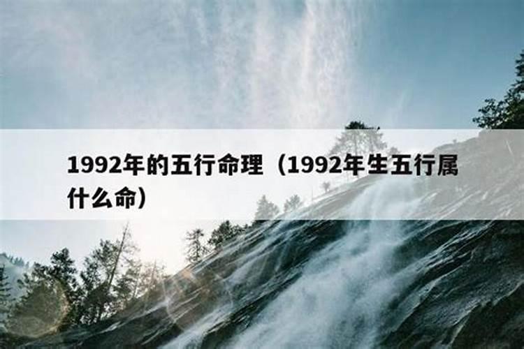 1992年属性是什么五行