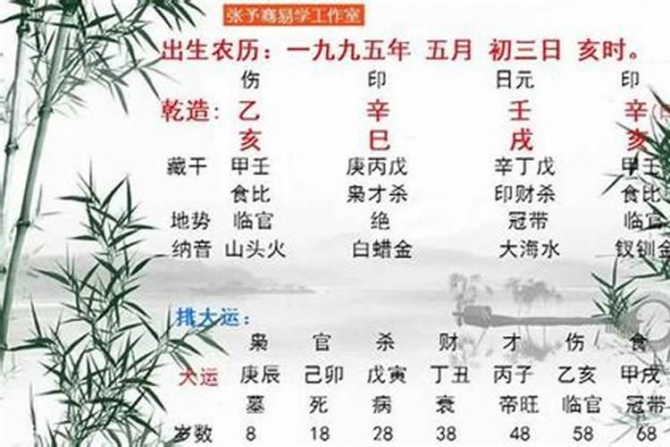 属鼠的今年是冲太岁吗