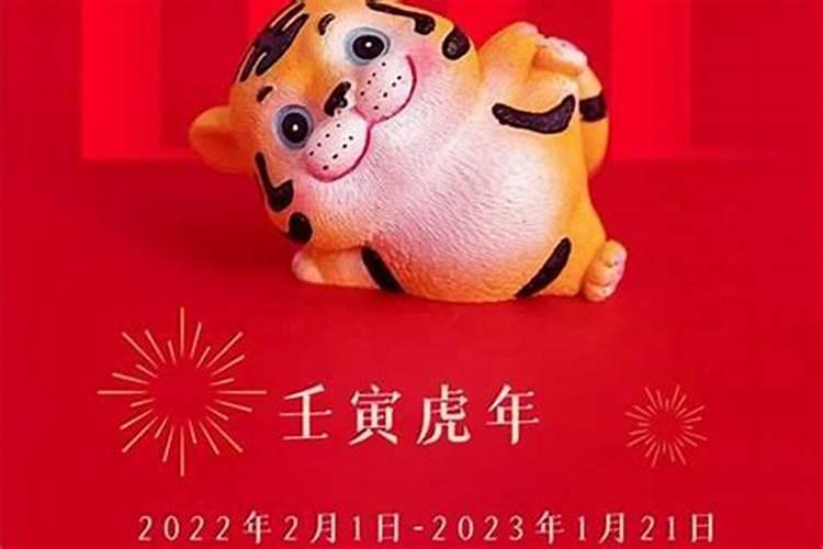 2023年出生的宝宝生肖