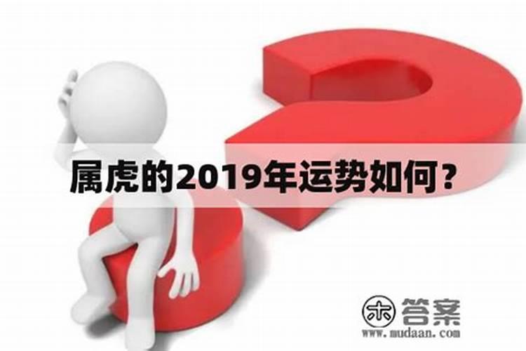 2019年的运势怎么样