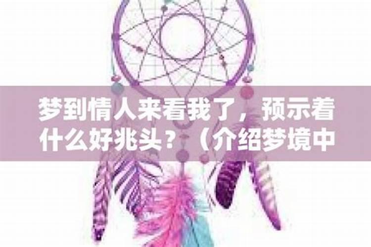 梦见情人开车来看我