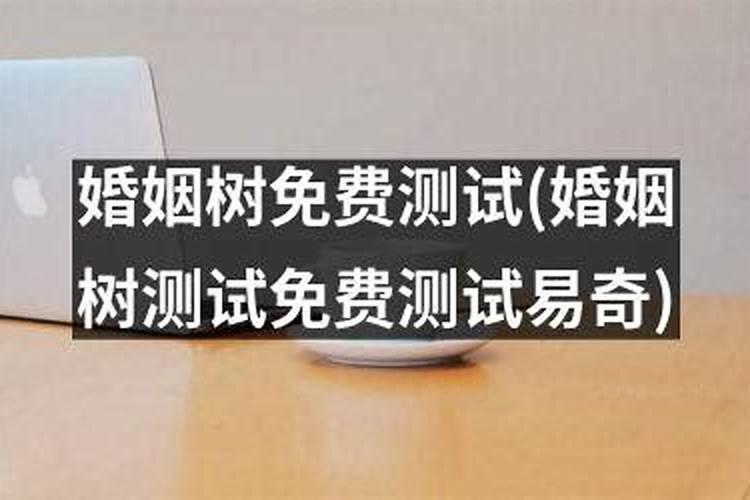 奇艺八字婚姻树准吗