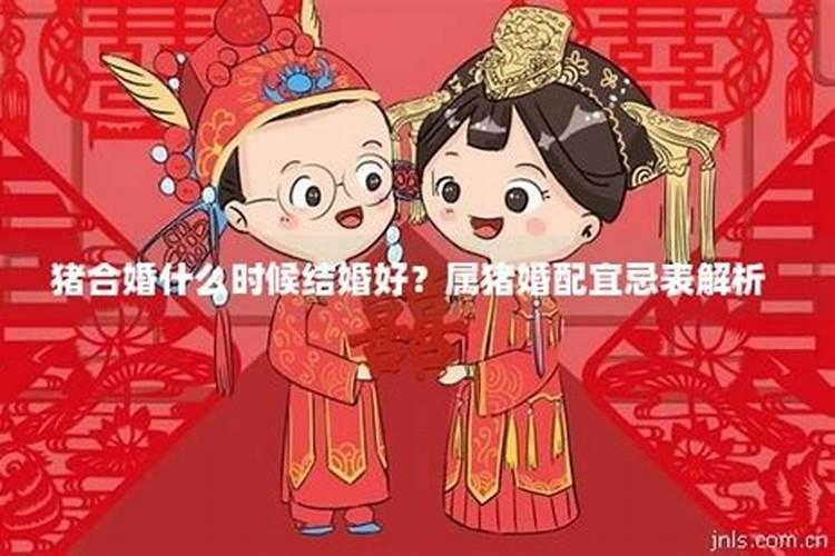 属猪的婚配什么合婚好一点