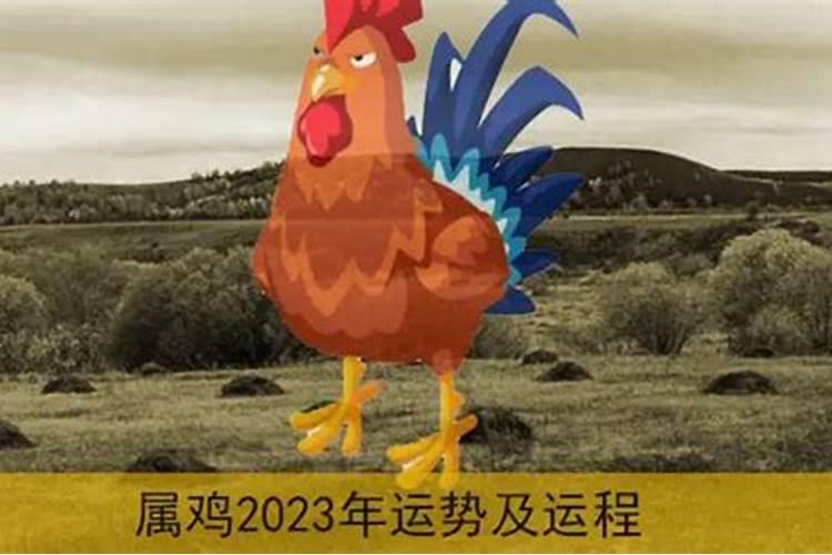 2023鸡年桃花运势如何