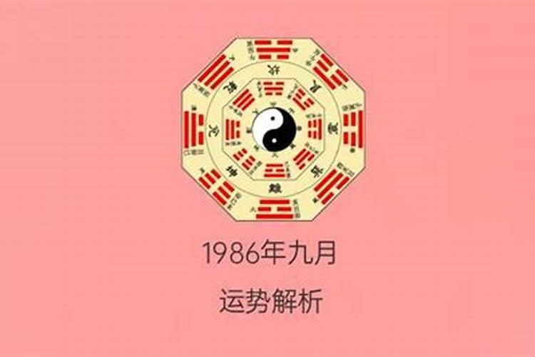 1980年九月初三猴命运如何