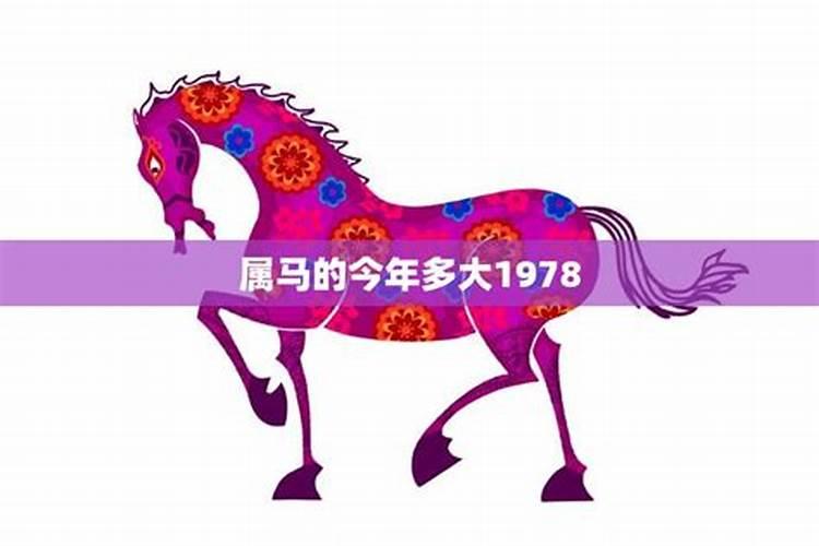 属马的今年多大了1978