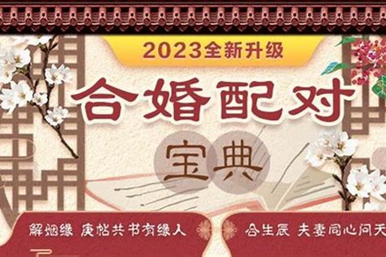 属兔2023年运势及运程正月出生