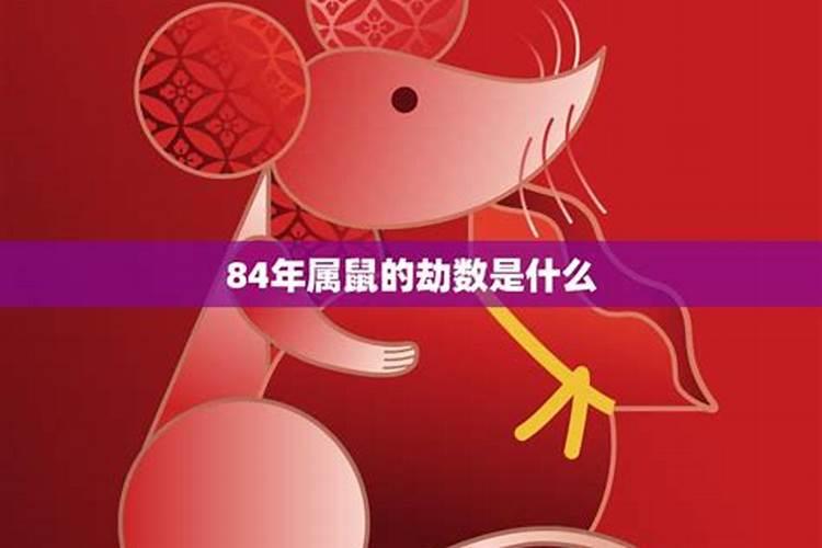 84年老鼠2020年12月份运势