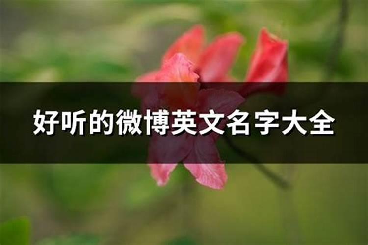 起一个好听的微博名字