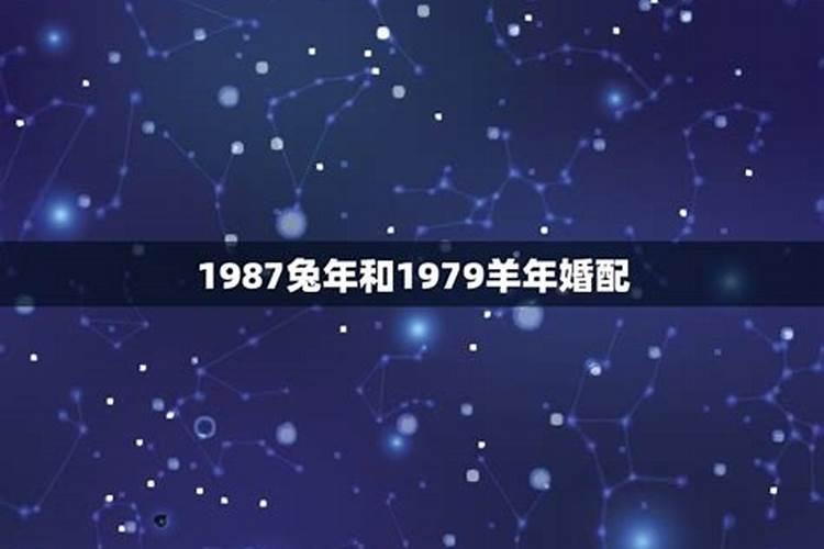 1979属兔46岁以后运气