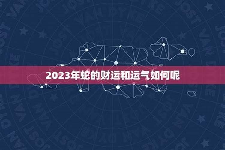 蛇在2021年的运气如何