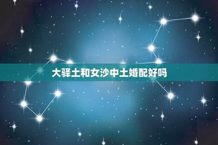 2023年鼠年犯太岁生肖是什么呢