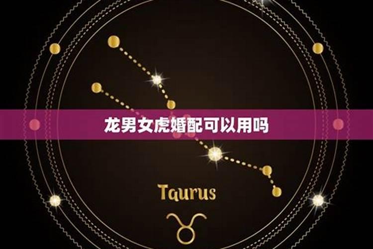 星盘中测姻缘是哪个宫