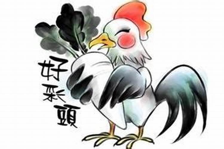 肖鸡今年运势怎么样