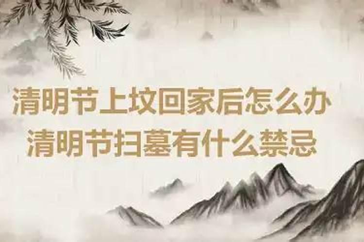 清明节忘记了烧纸该怎么办