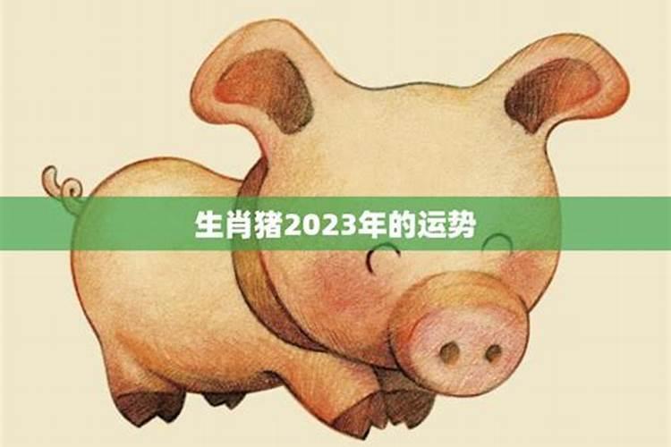 2023生肖属猪的运势如何