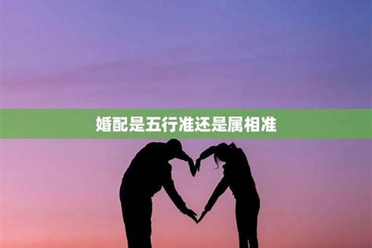 五行婚配准还是属相婚配准