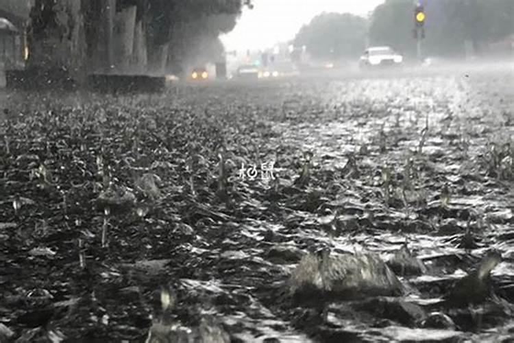 怀孕了梦见下雨是怎么回事